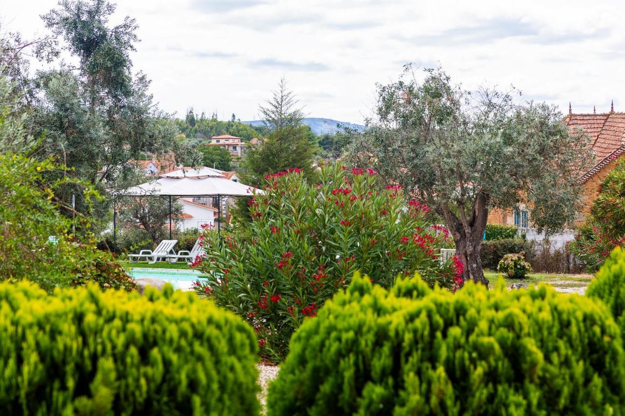 Quinta Do Chao Da Vinha Villa Carragozela Exterior foto
