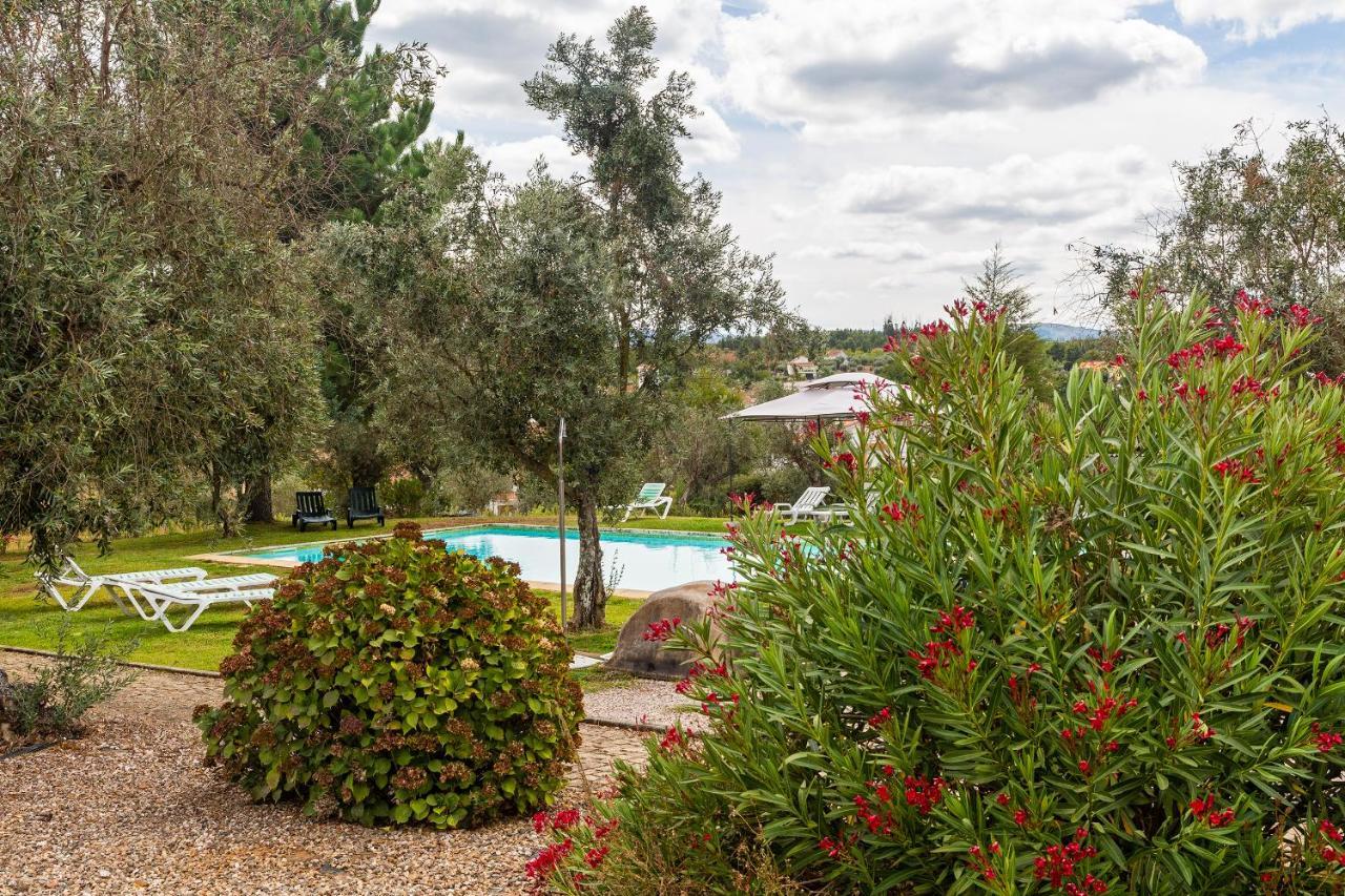 Quinta Do Chao Da Vinha Villa Carragozela Exterior foto
