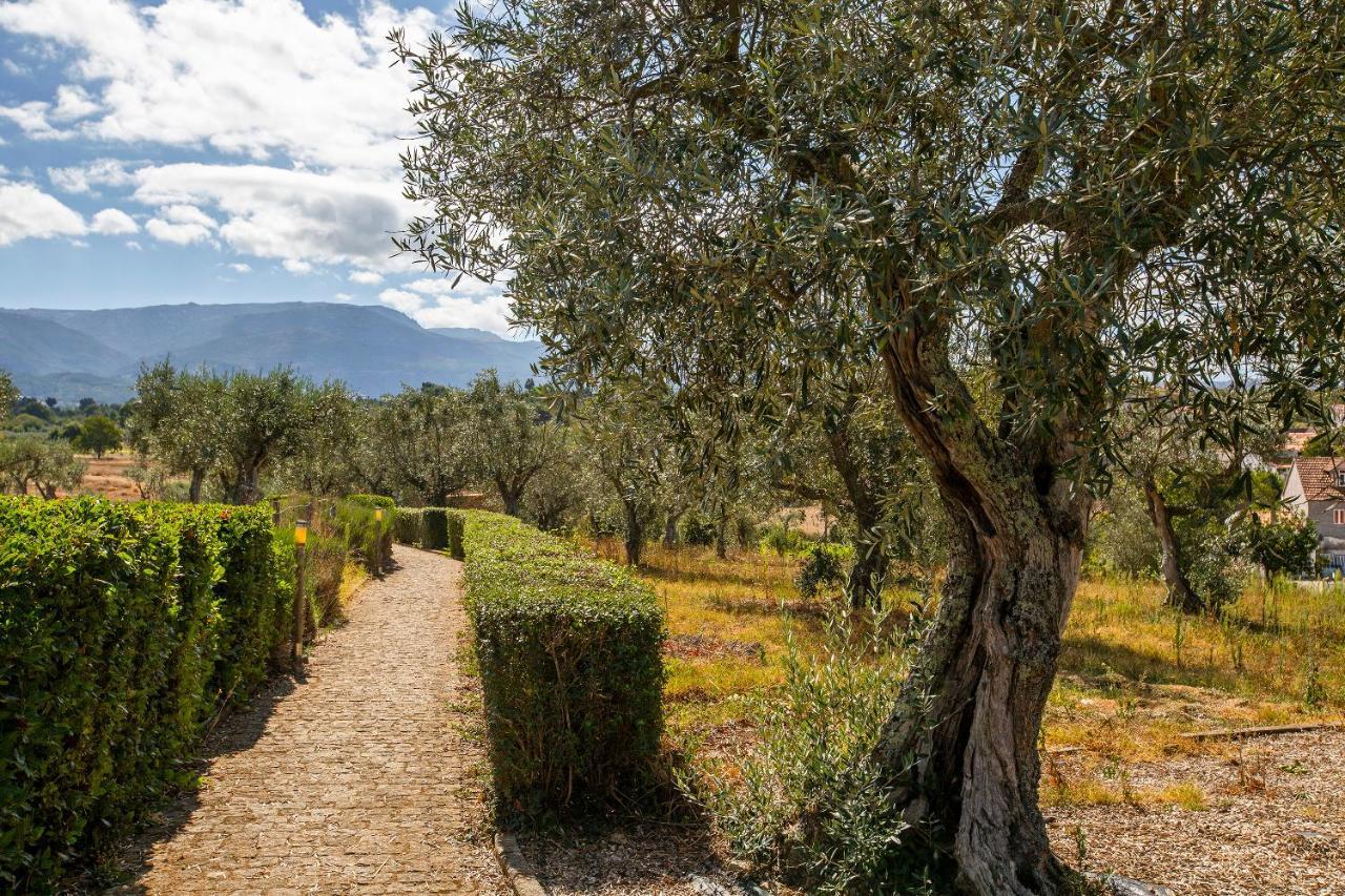 Quinta Do Chao Da Vinha Villa Carragozela Exterior foto